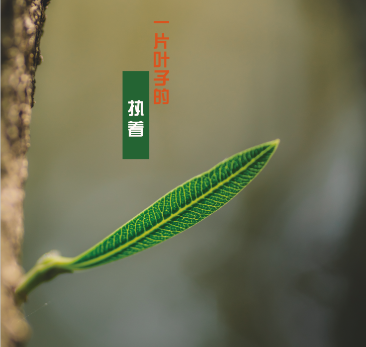 微信图片_20220225135921.png