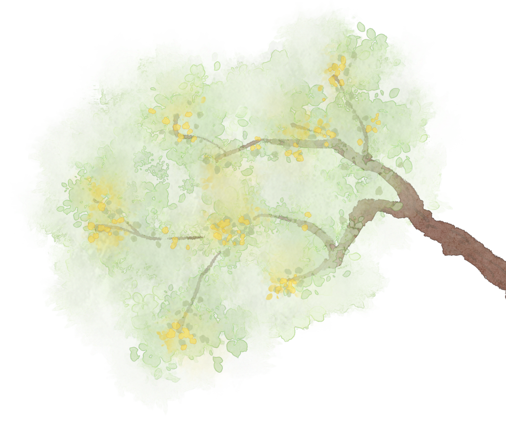 微信图片_20220228091226.png