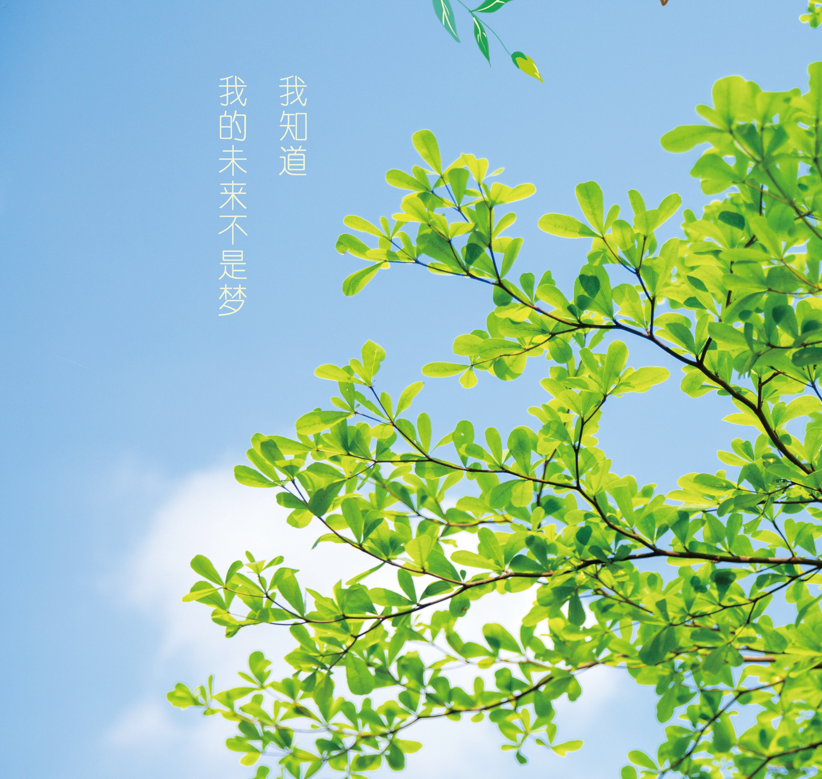 28-29_看图王.jpg