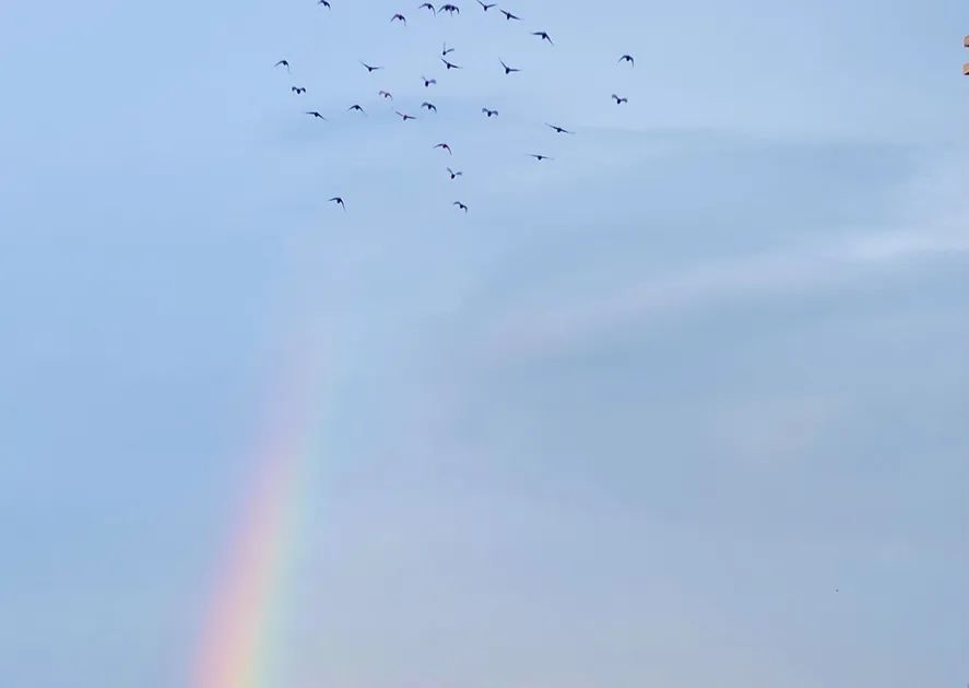 640.jpg